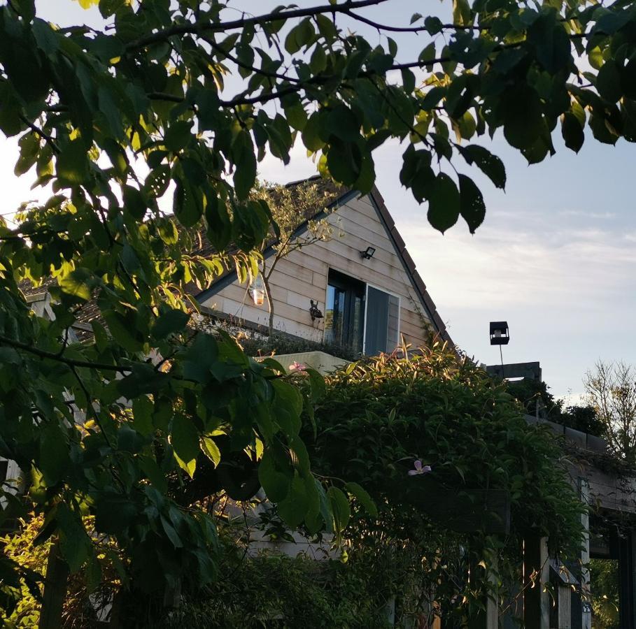 丘陵口住宿加早餐旅馆 Mont-de-l'Enclus 外观 照片